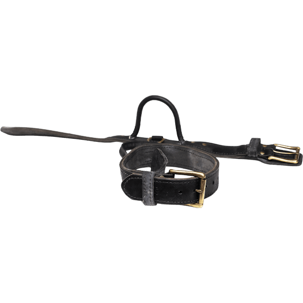 Black Leather Agitation Collar with Handle Open and Closed