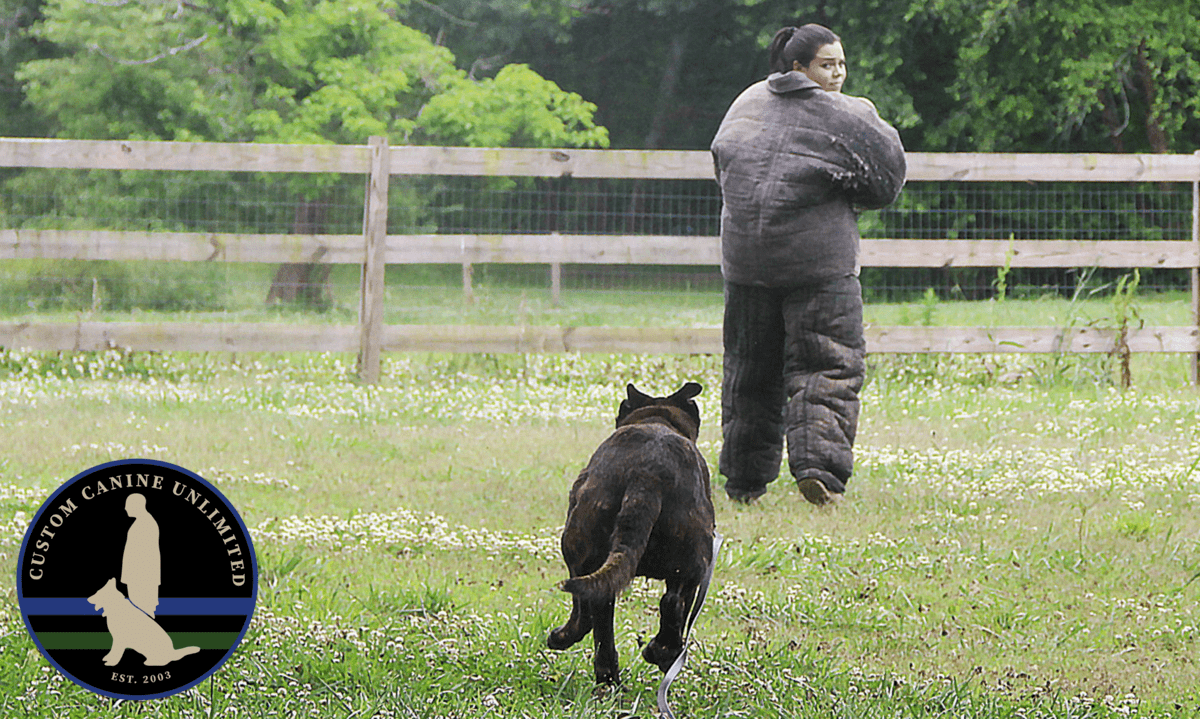 K9 running after a decoy in a bite suit K9 running after a decoy in a bite suit