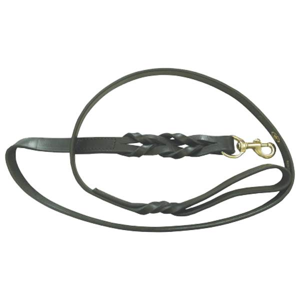 Boston Leather Braided Leather Lead