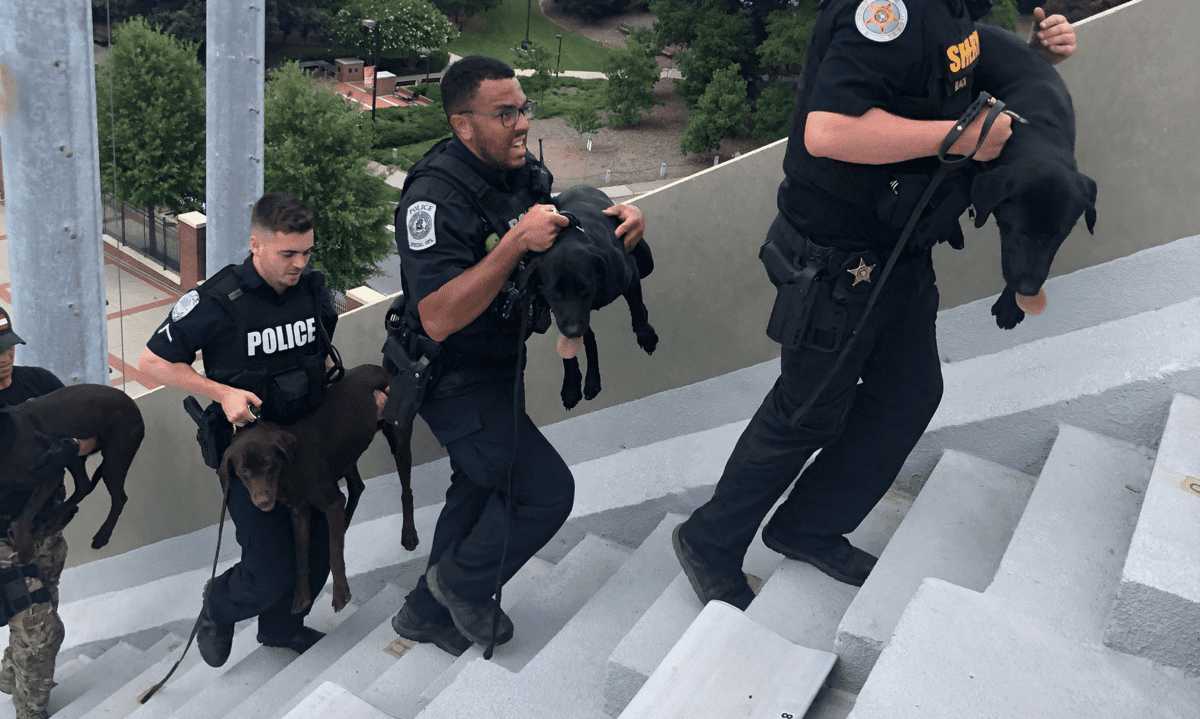 Building foundation four k9 handlers carrying dogs up stairs