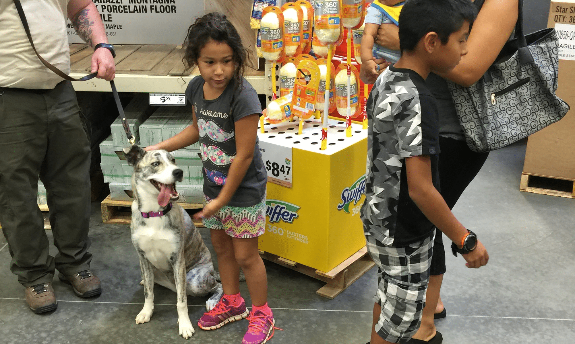 Have what it takes for service dog K9 handler a dog and children