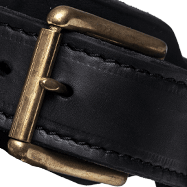 Black Agitation Collar Buckle