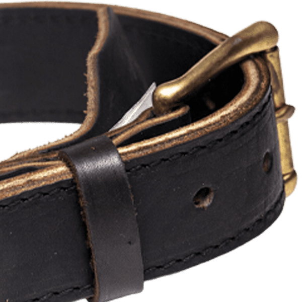 Brown Leather Agitation Collar with Handle Buckle