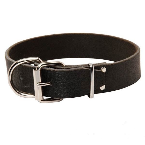 Single Ply Leather Dog Collar