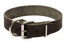 Single Ply Leather Dog Collar - Image 2