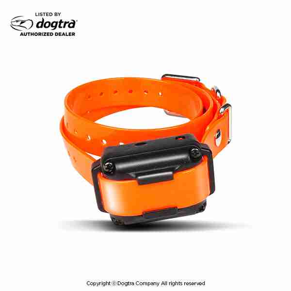 Dogtra iQ PLUS Receiver