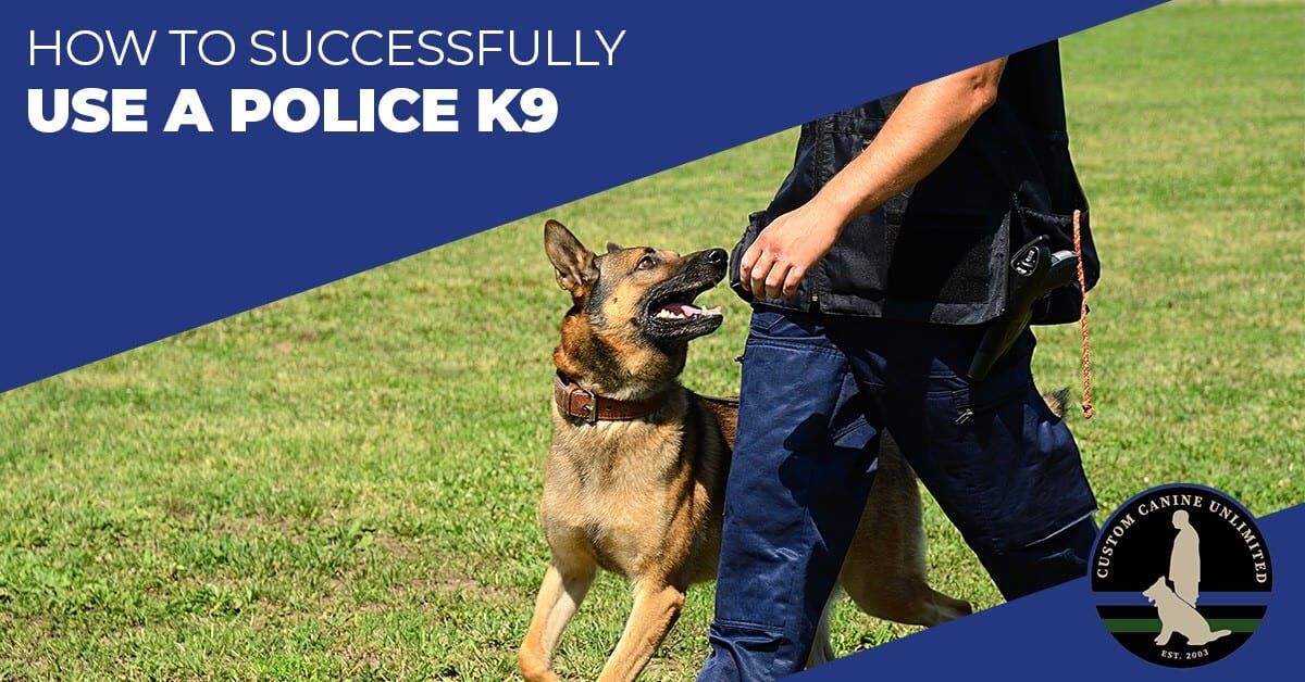 How to Successfully Use A Police K9