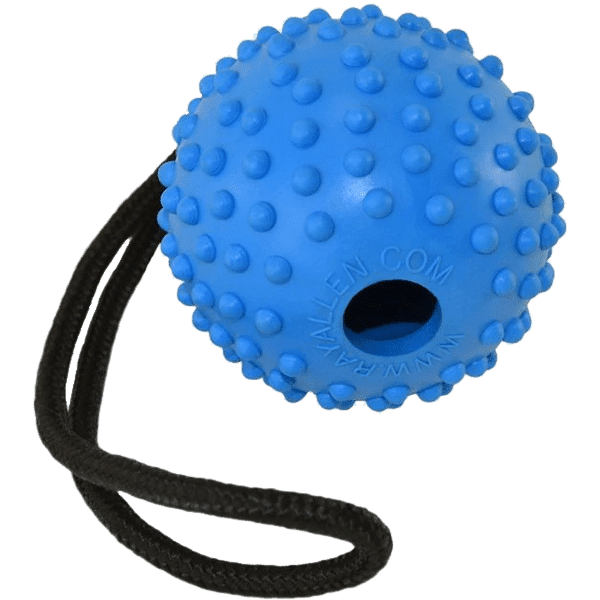 Ball with Handle