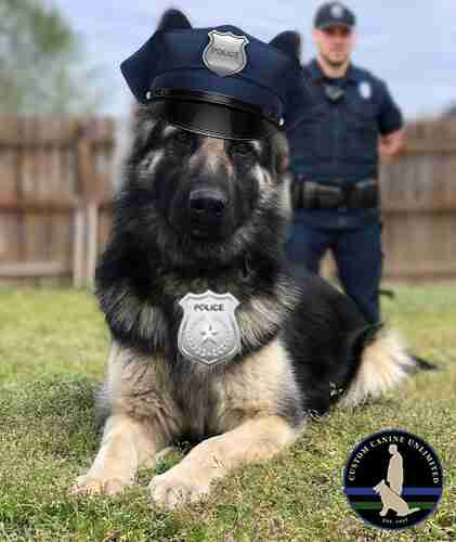 Uniformed Officer Post Headline Image