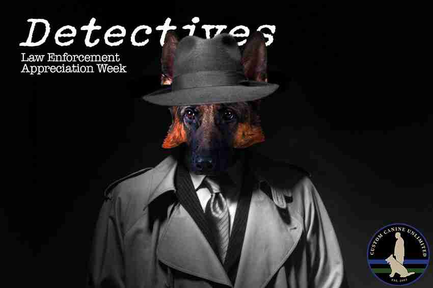 detective Blog Post Image
