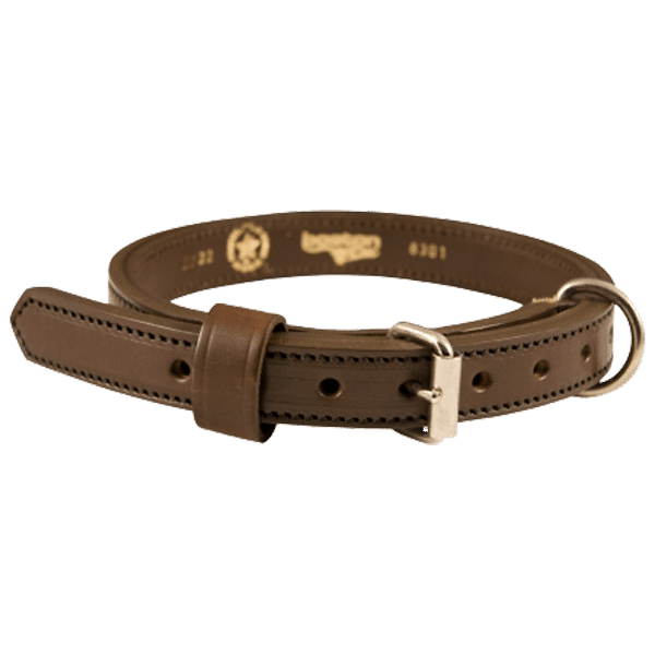 Boston Leather 1" K-9 Collar