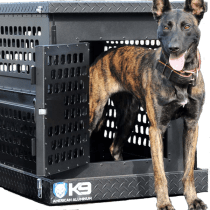 Dutchie standing inside and out of black crate