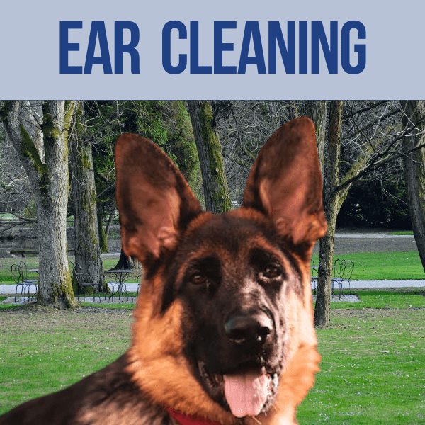 ear cleaning