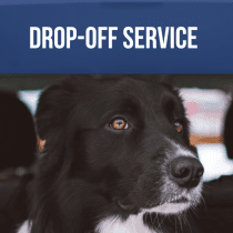 Pet Drop-off Service