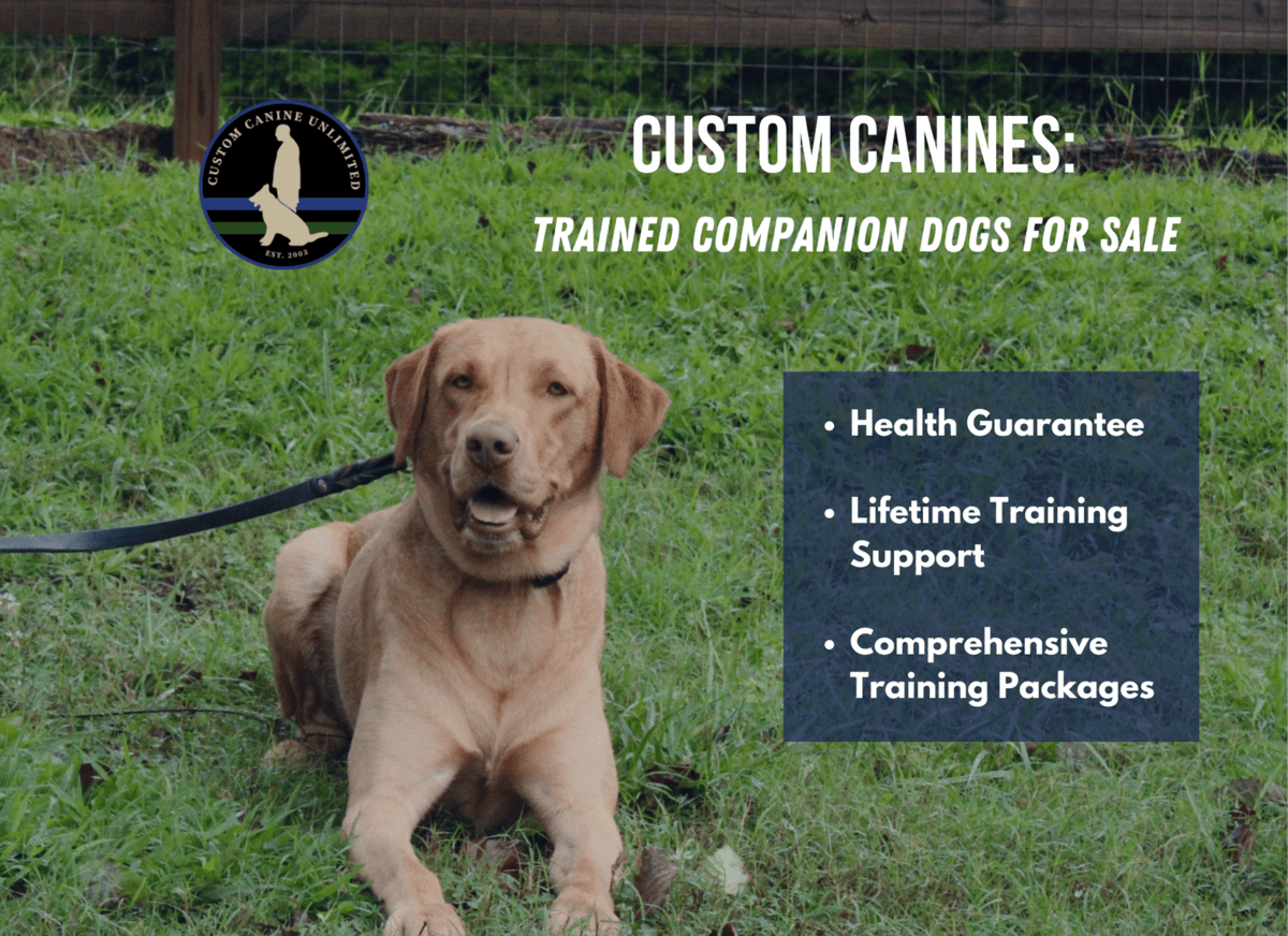 Trained Dogs for Sale Trained Dogs for Sale
