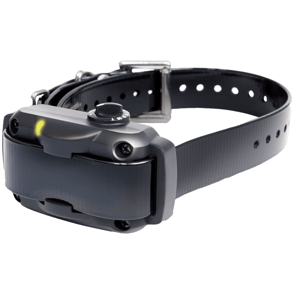 Dogtra YS600 No Bark Collar