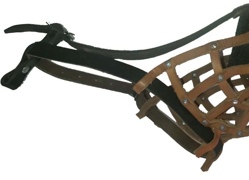 Leather Basket Weave Dog Muzzle - Image 6