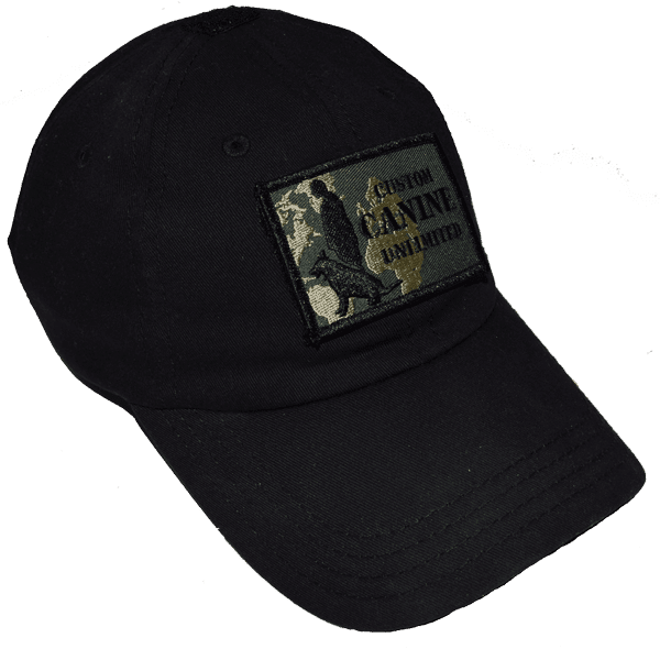 CCU Patch - Image 2
