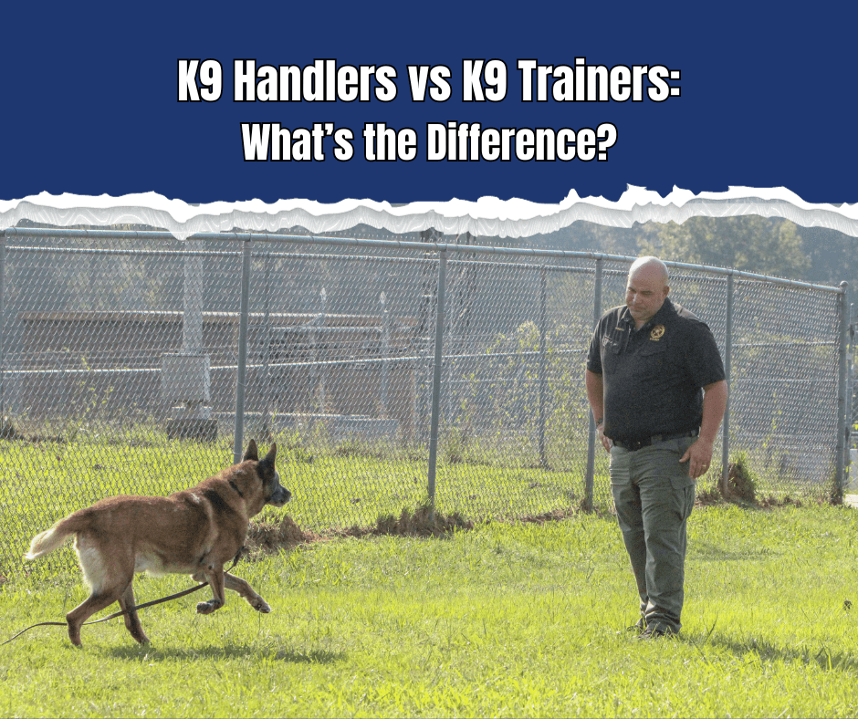 K9 Handlers vs K9 Trainers K9 Handler, K9 Trainer