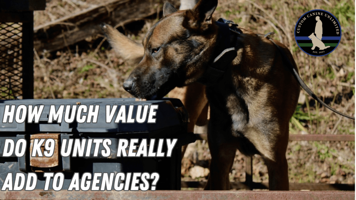 Value of K9 Unit Value of K9 Unit